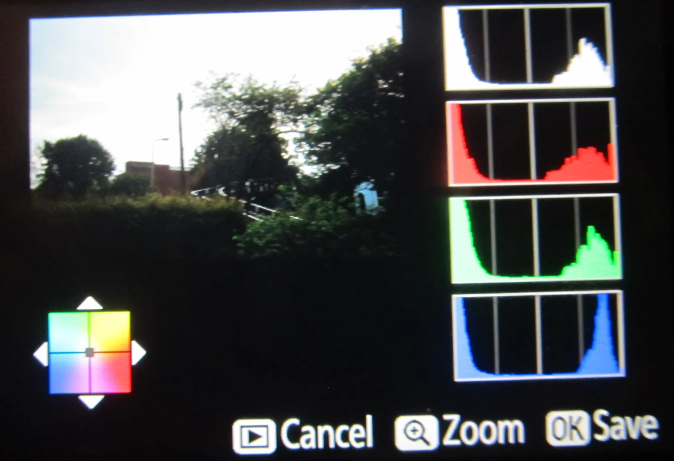 Nikon D5300 color balance options