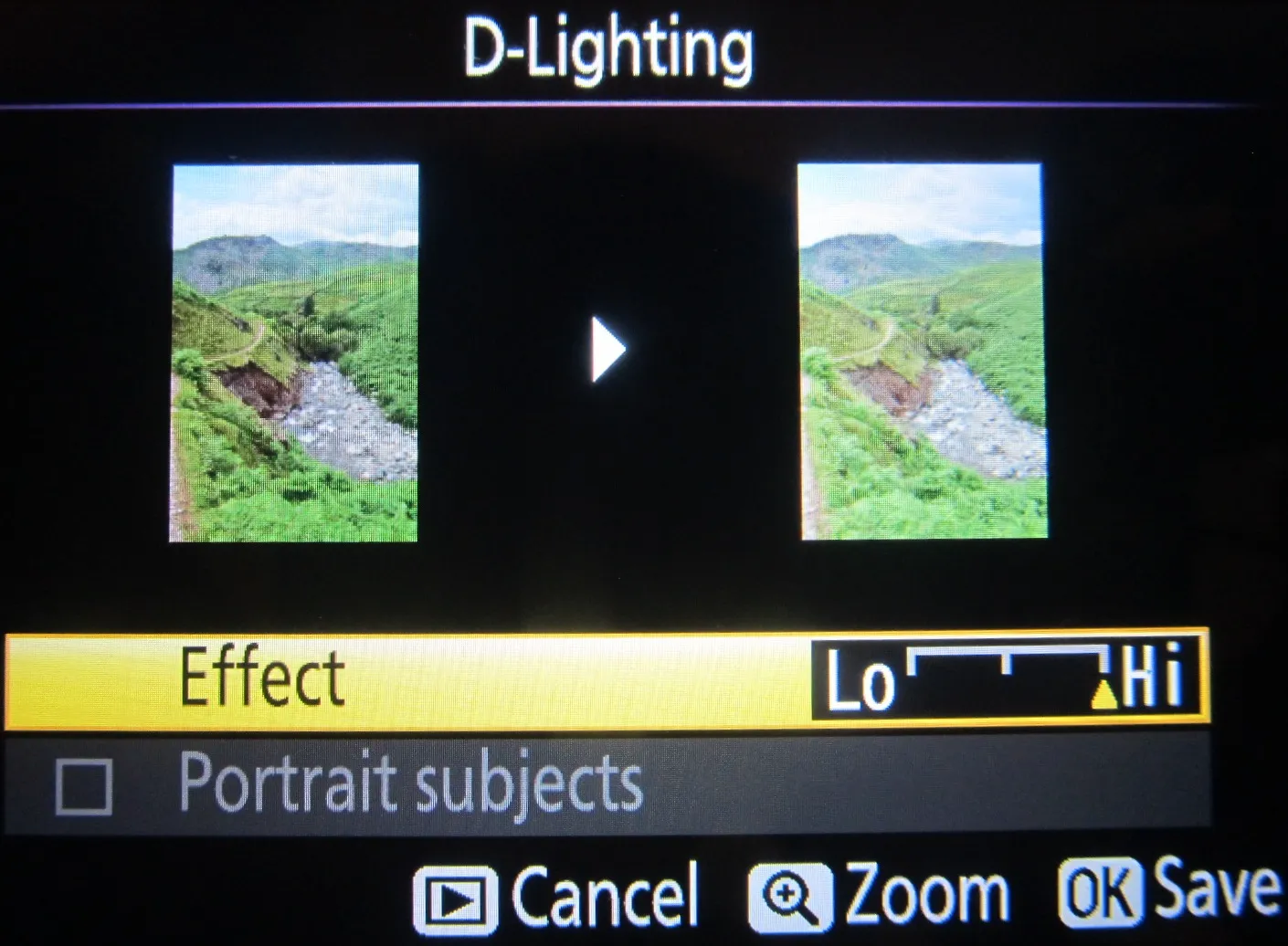 Nikon D5300 D-lightning options