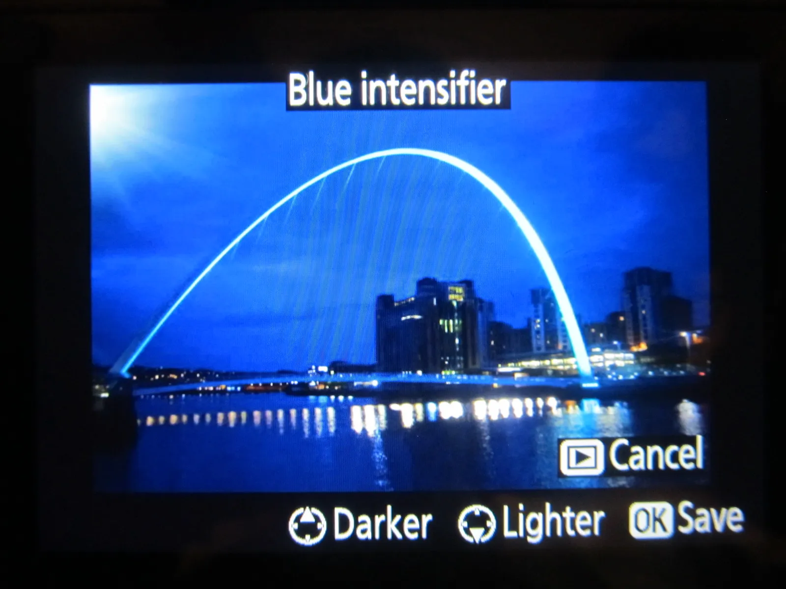Nikon D5300 blue intensifier options