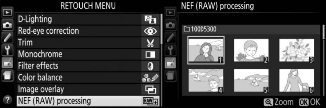 Nikon D5300 reference manual NEF and RAW processing