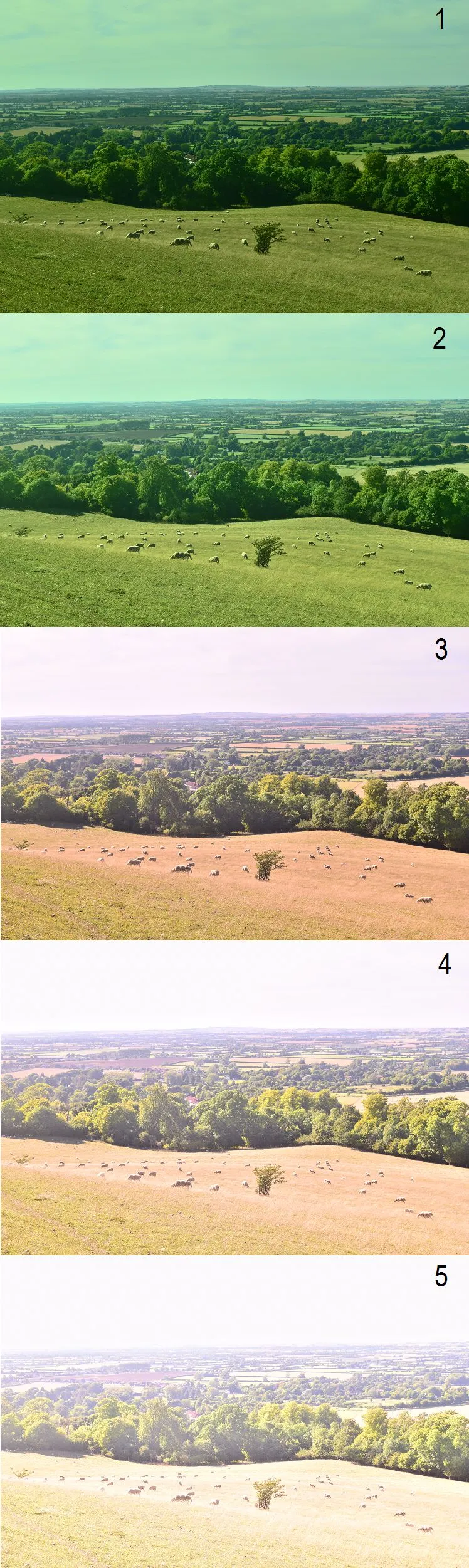 Nikon D5300 Exposure compensation photo examples, Chiltern Hills in UK