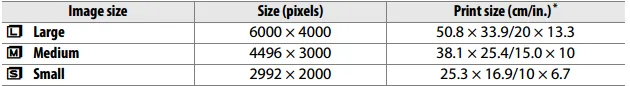 Nikon D5300 reference manual, basic image sizes