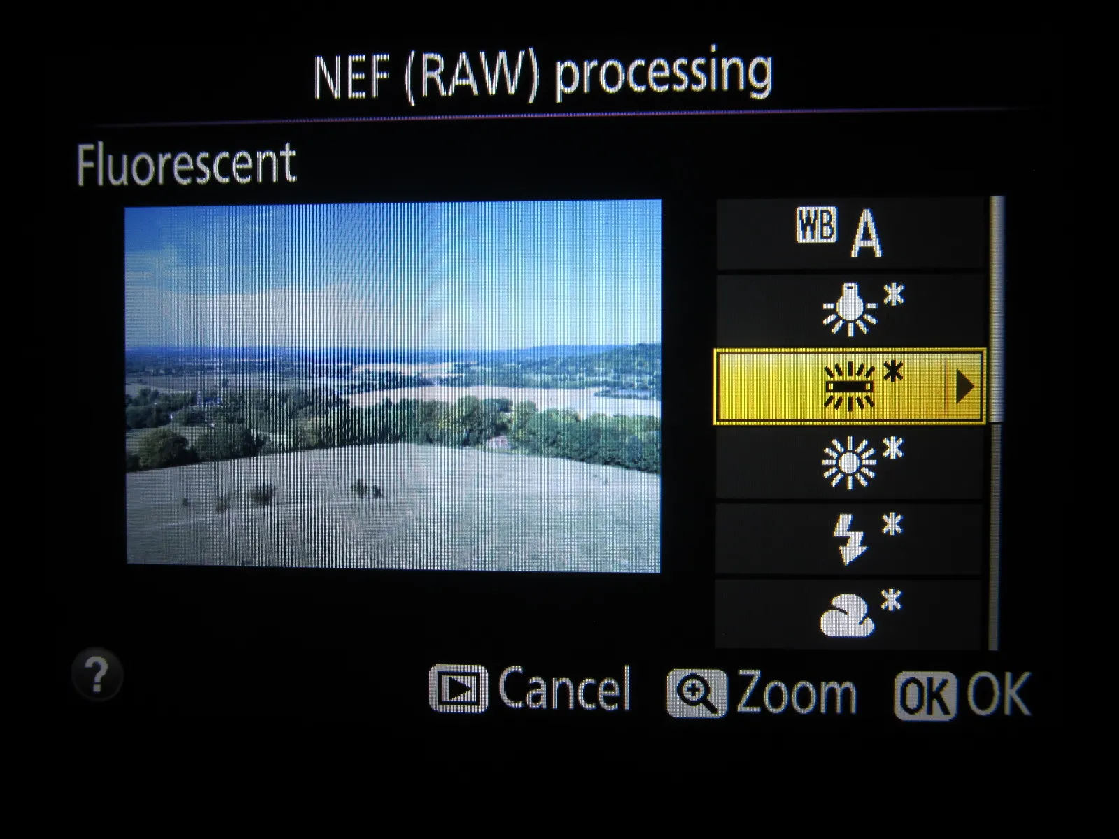 Nikon D5300 fluorescent white balance options