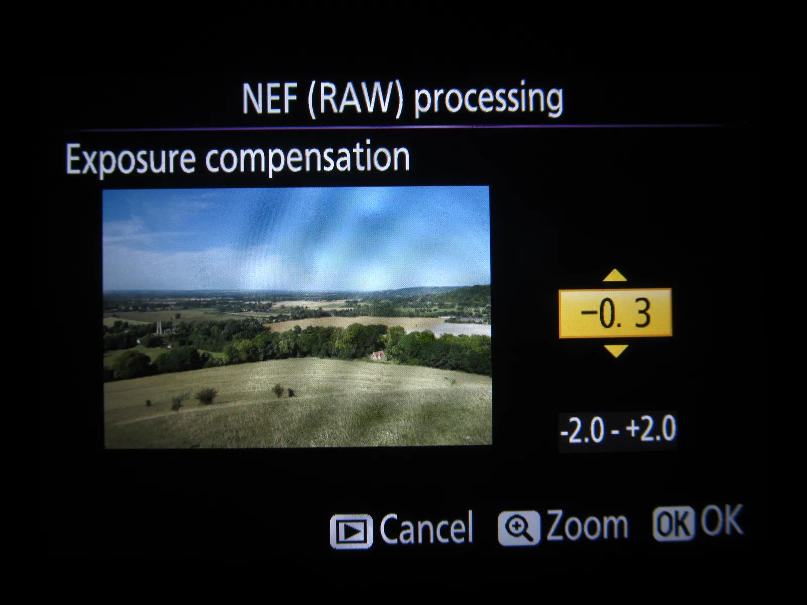 Nikon D5300 Exposure compensation range