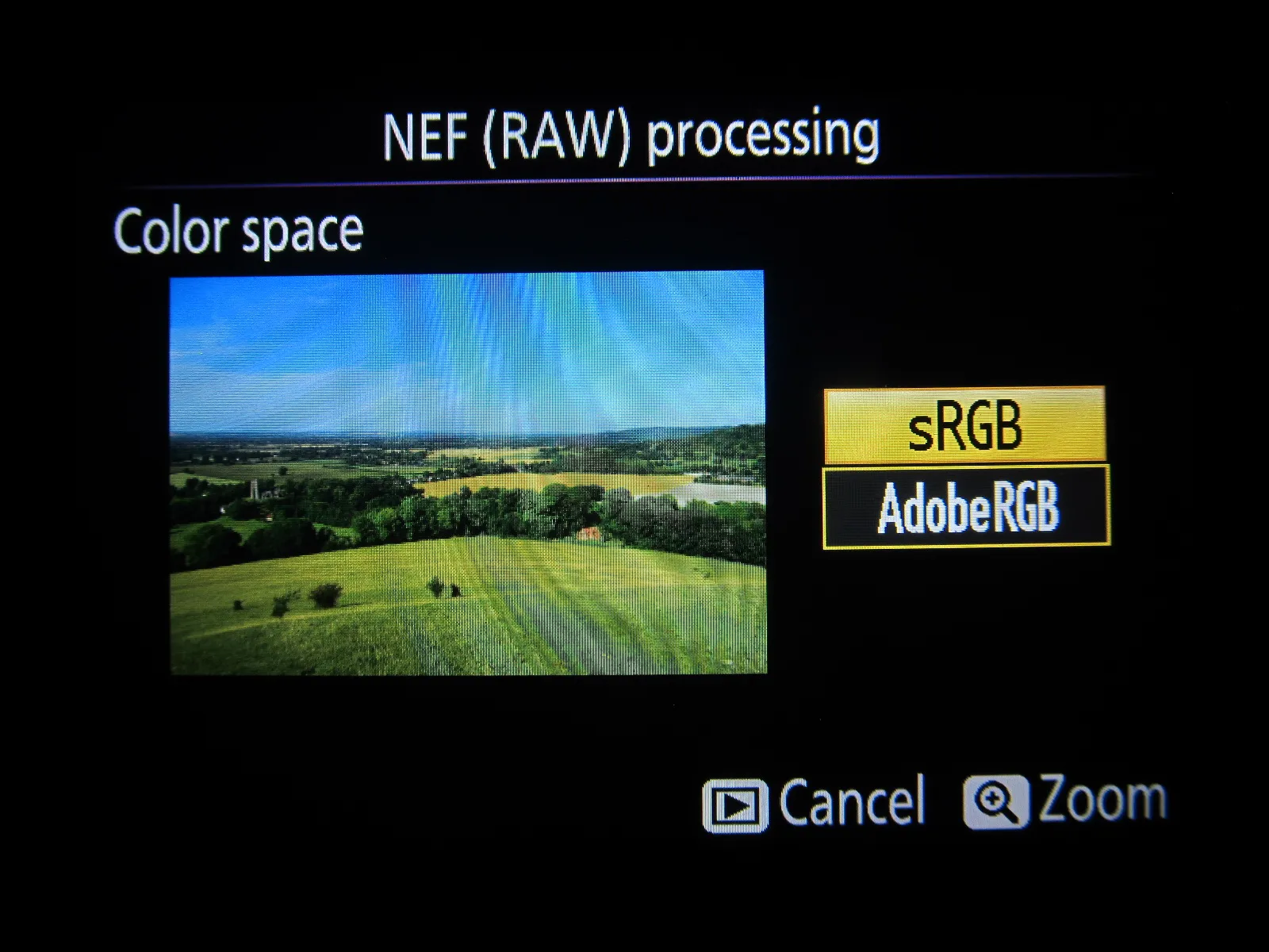 Nikon D5300 colour space settings