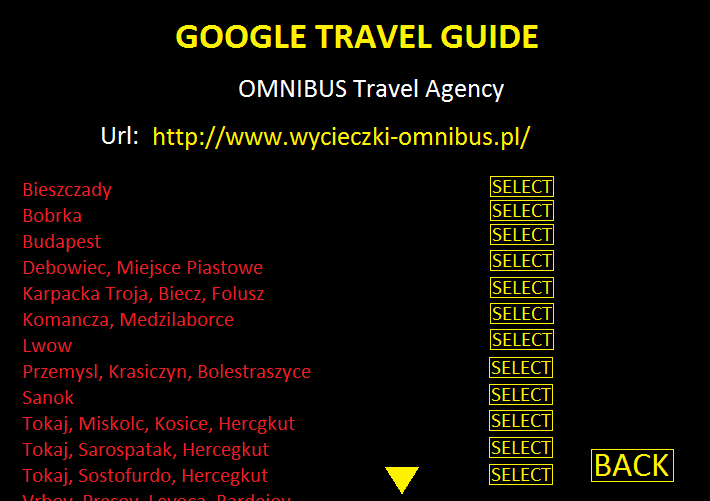 Google Travel Guide trip choice