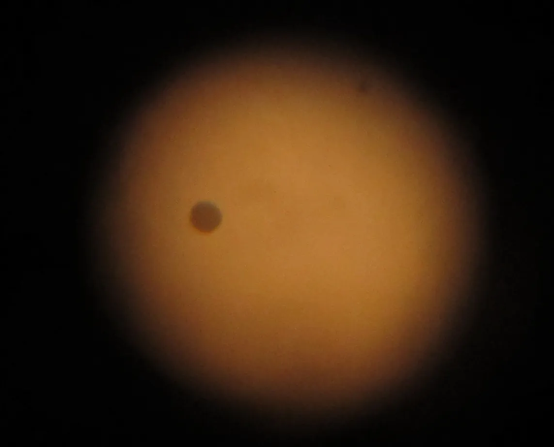 Venus 100x trough the Newton 160/1000 telescope