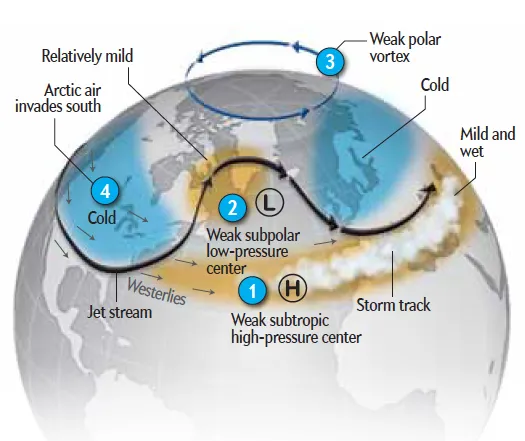 Actual shape of polar jet stream
