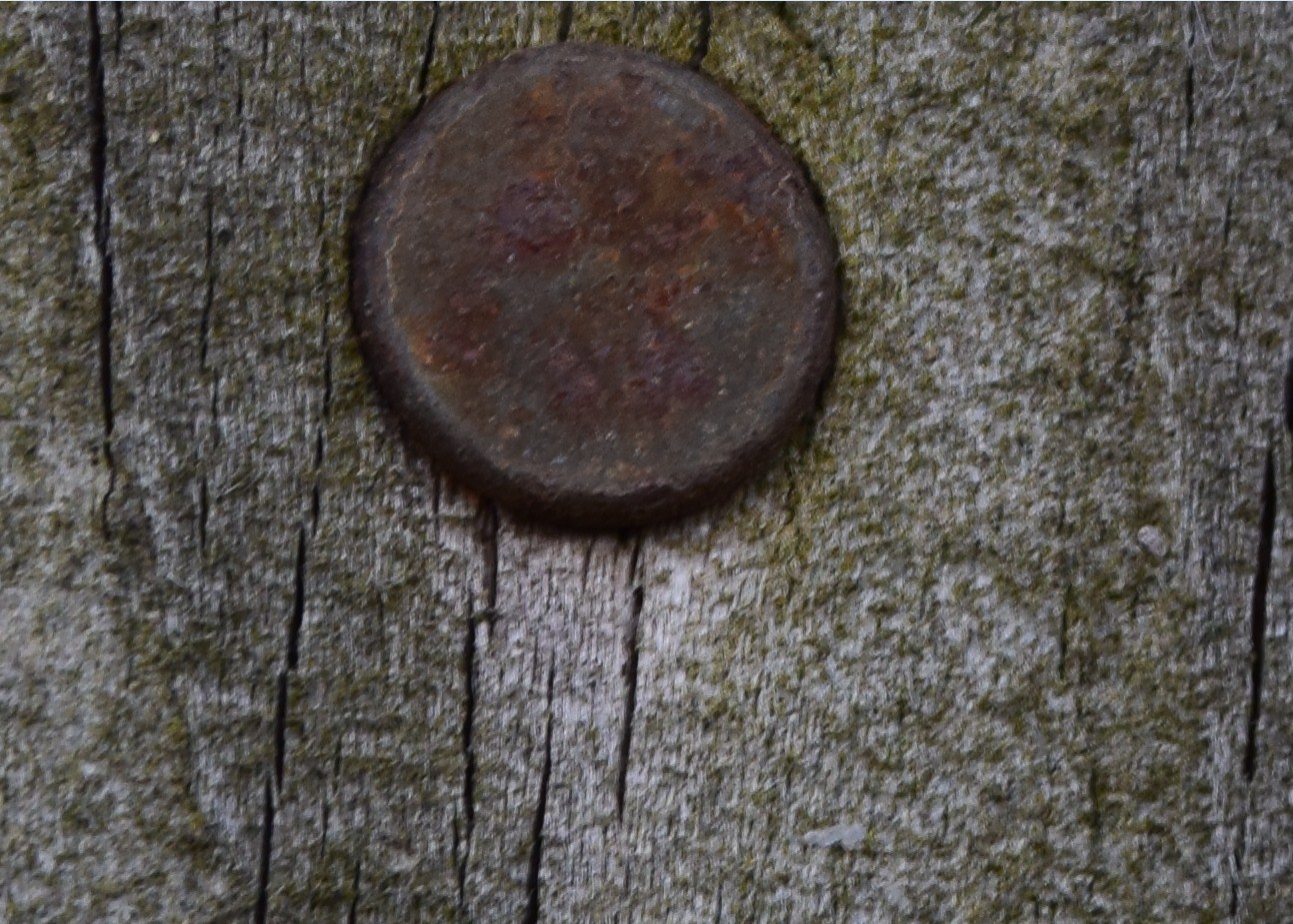 Sigma 17-70mm f2.8-4.5 macro wooden plank