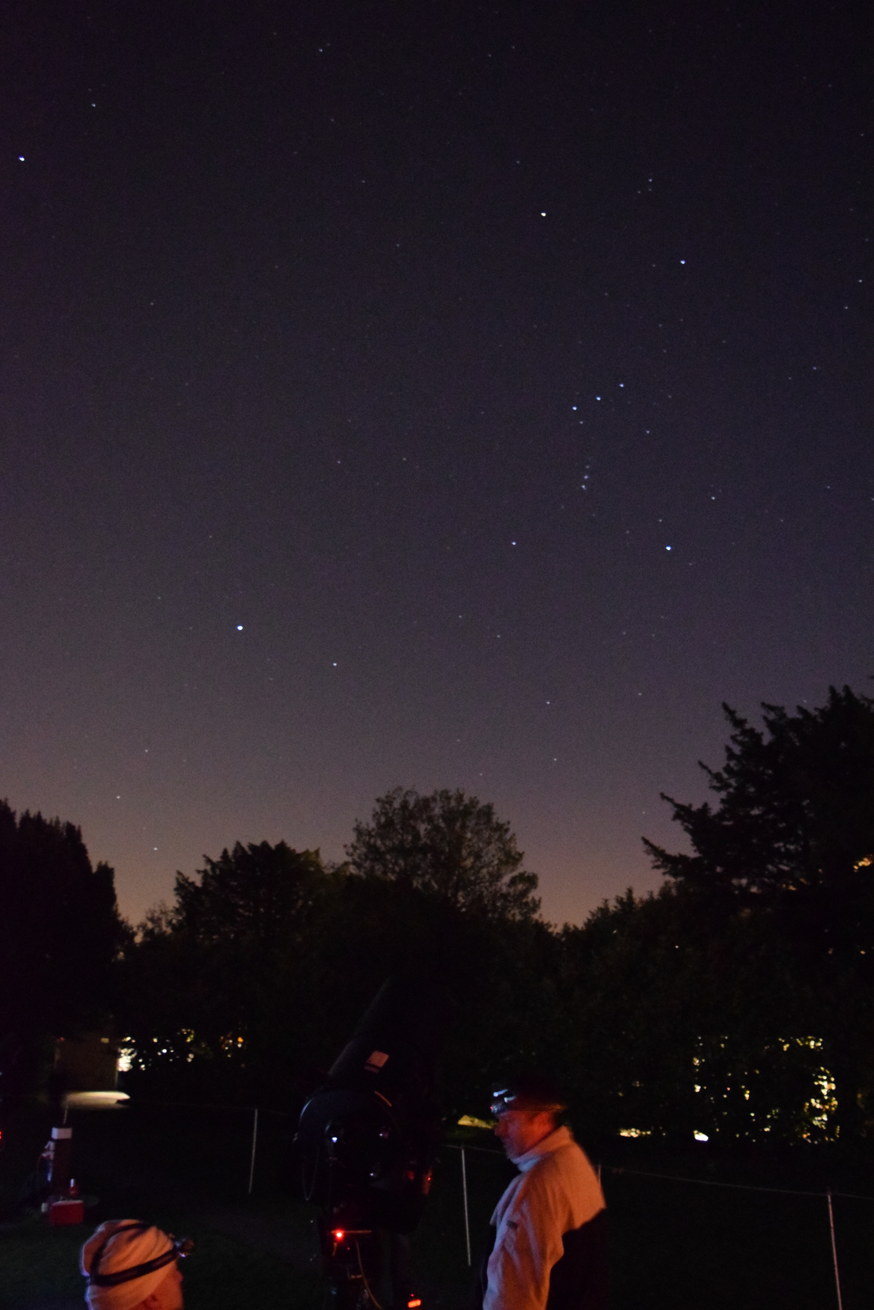 Cambridge Astronomy Association stargazing Orion and Canis Major