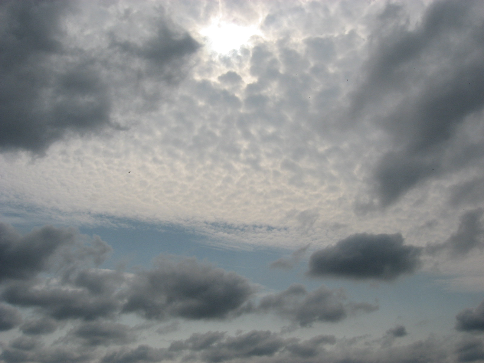 Non selective light scattering altocumulus and cumulus cloud