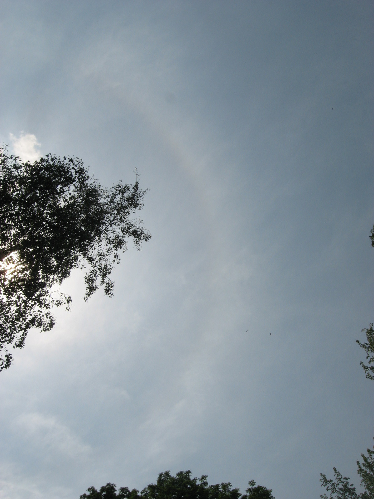 The halo seen on cirrostratus clouds