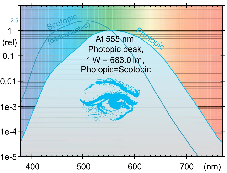 Photoptic and scoptic vision