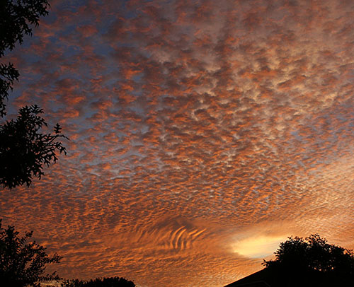sunrise_colors altocumulus cloud and cirrus cloud above