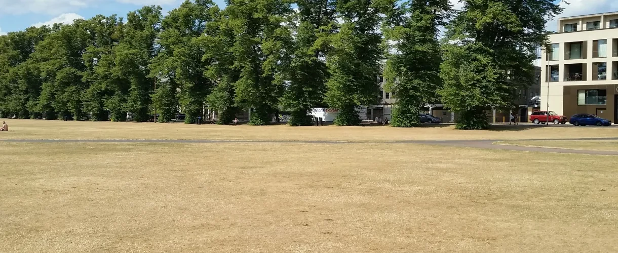 Cambridge Park & Peace drought 2018