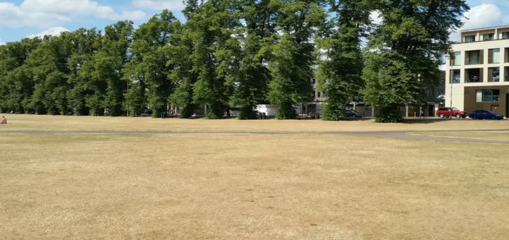 Cambridge Park & Peace drought 2018