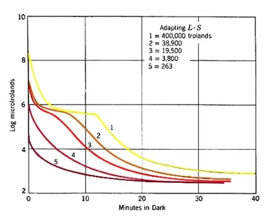 Dark adaptation curve depends on the length and light level