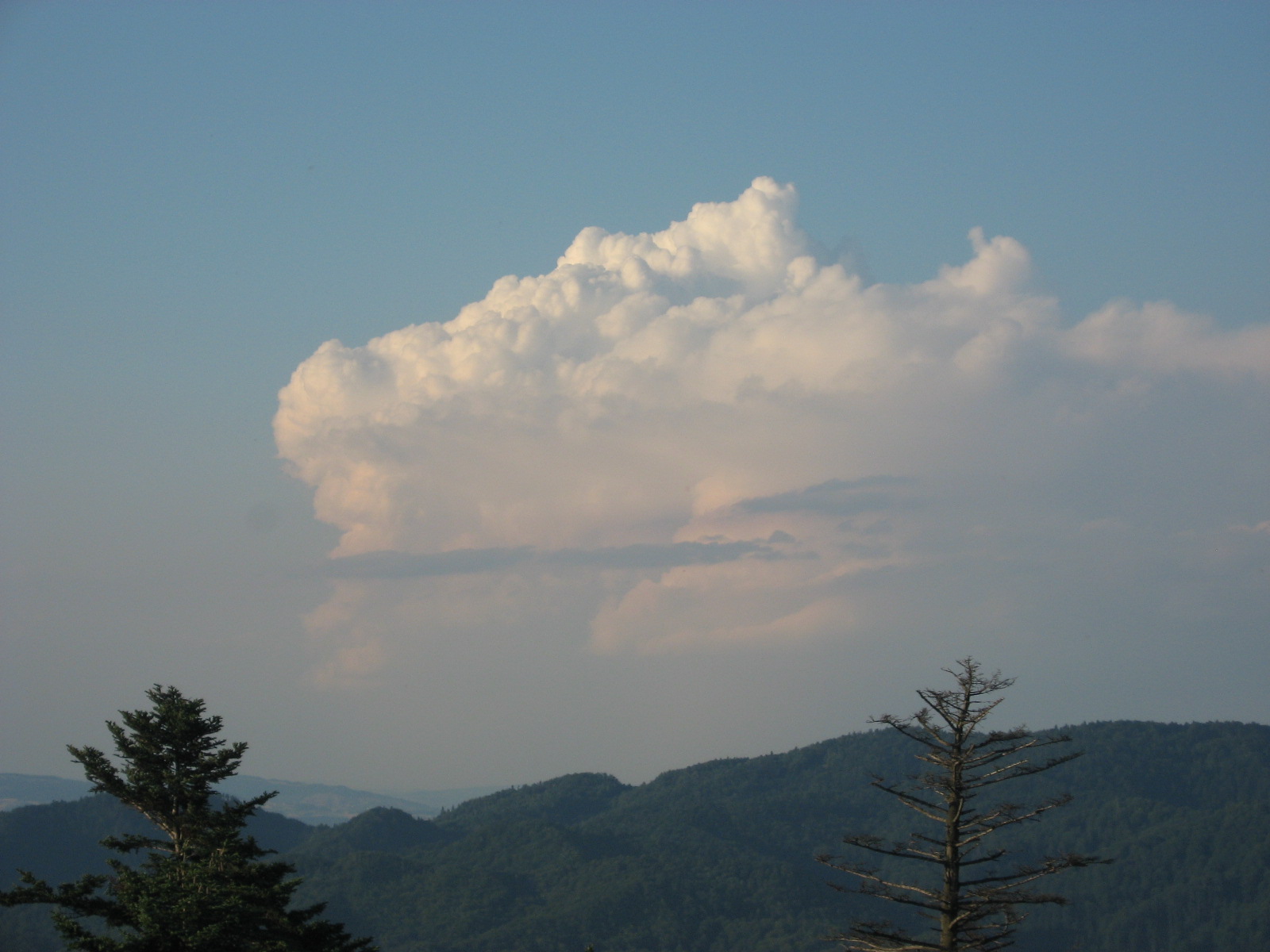 Cumulonimbus