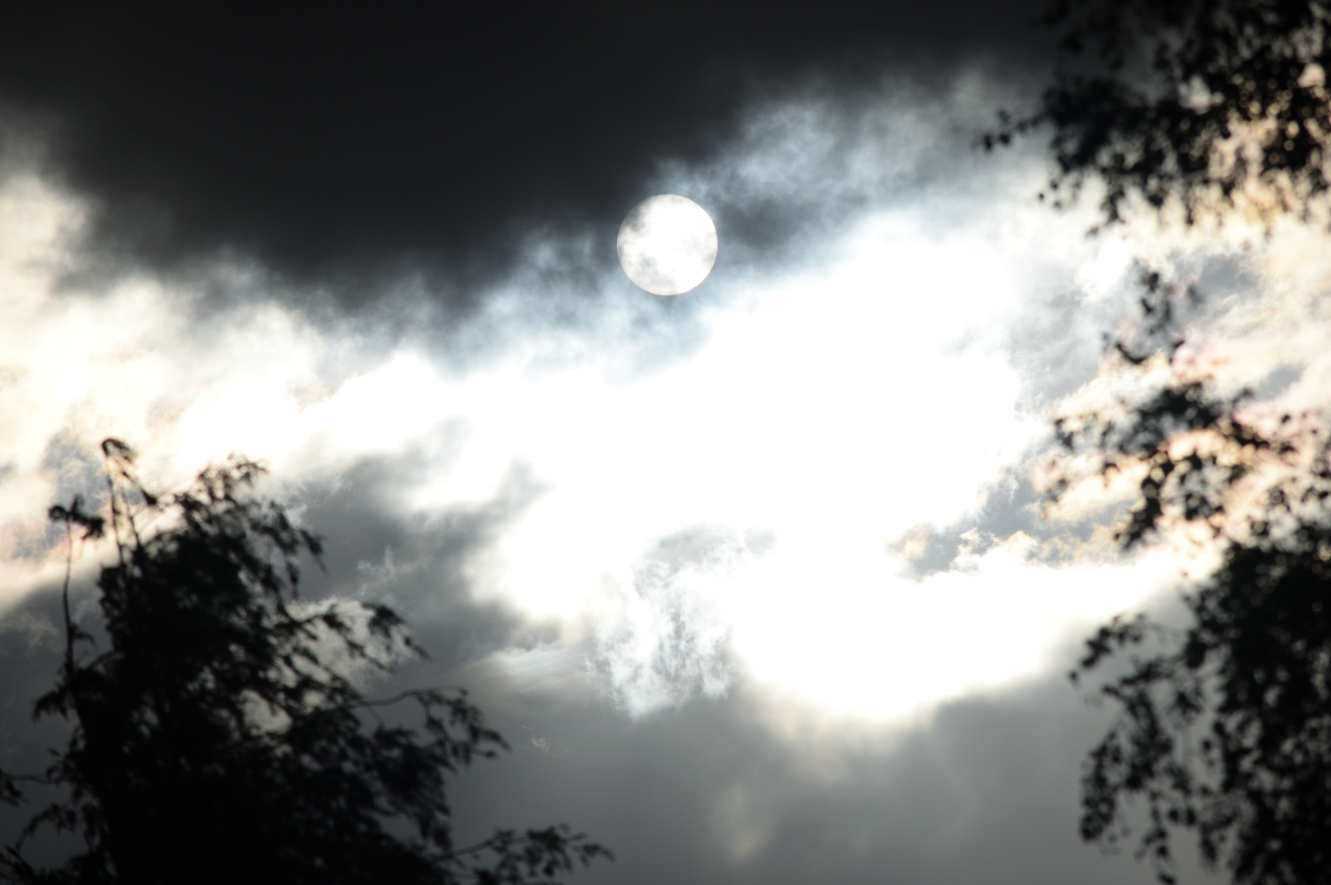 Sun seen through stratocumulus stratiformis cloud