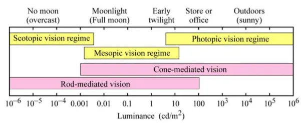 Ranges of vision regimes