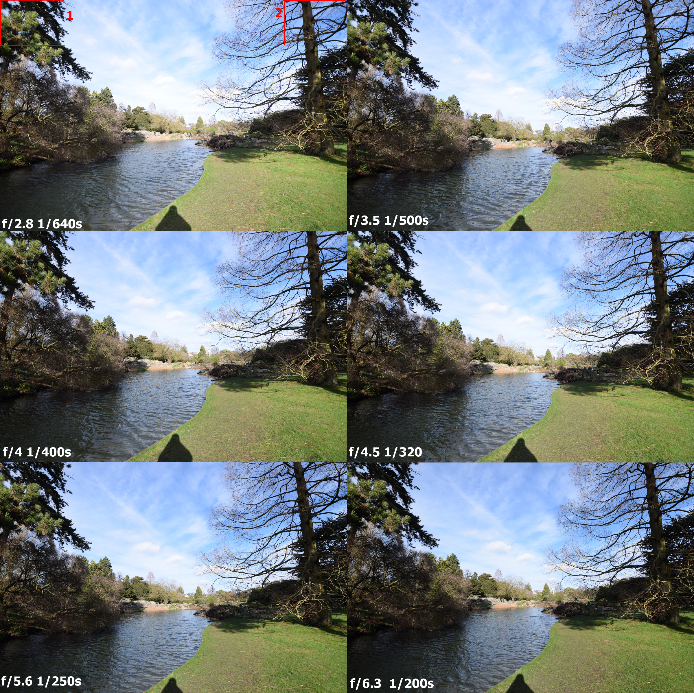 Tokina 11-16mm f/2.8 DX II sharpness test Cambridge Botanic Garden