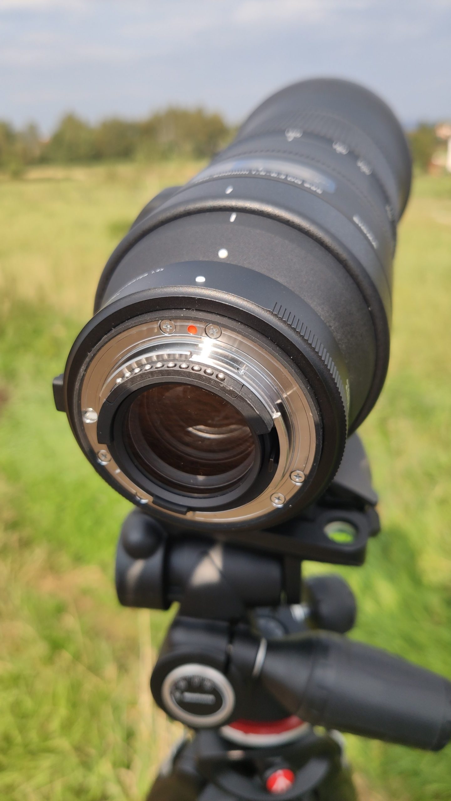 Teleconverter TC-1401 attachment to Sigma 150-600mm f/5-6.3 Contemporary lens 2