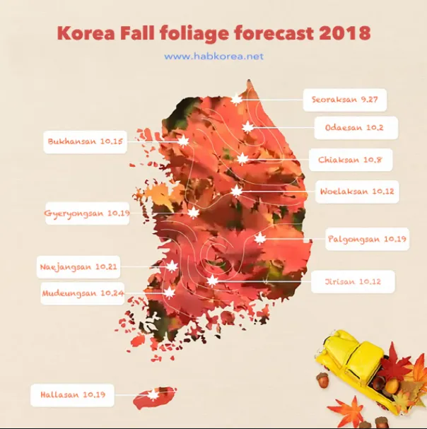 Foliage fall South Korea