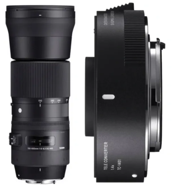 Sigma 150-600 contemporaty and TC-1401