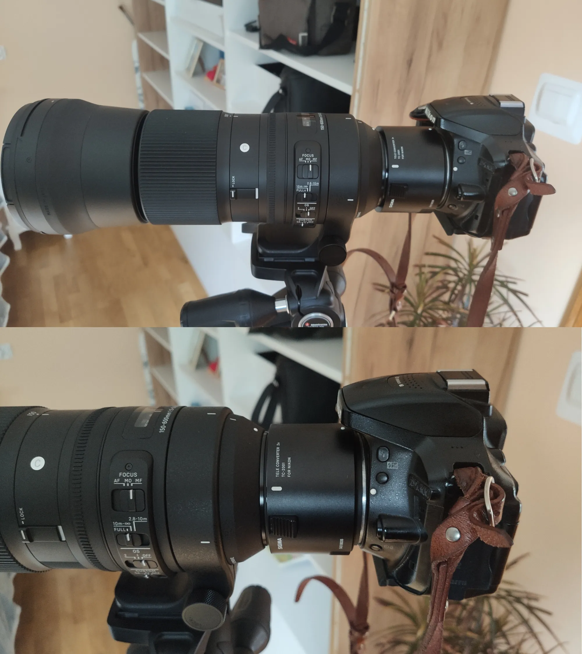 Teleconverter TC-2001 attached to Sigma 150-600mm f/5 - 6.3 Contemporary and Nikon D5300