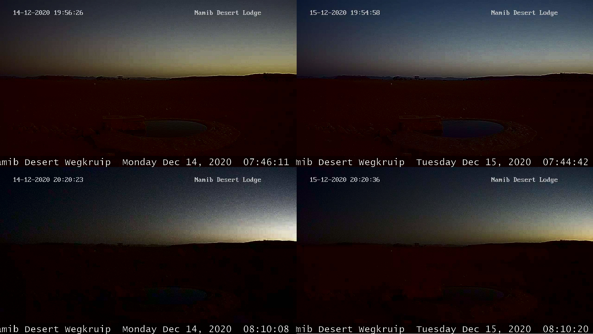 Namib Desert Wegkruip solar eclipse 2020 webcam4