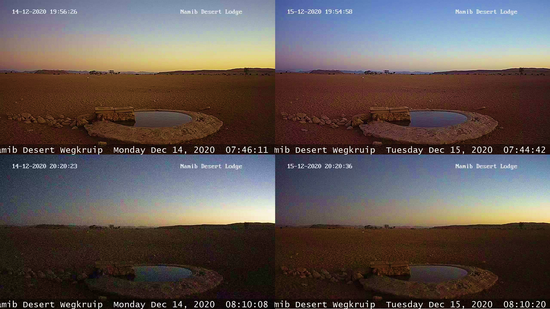 Namib Desert Wegkruip solar eclipse 2020 webcam3