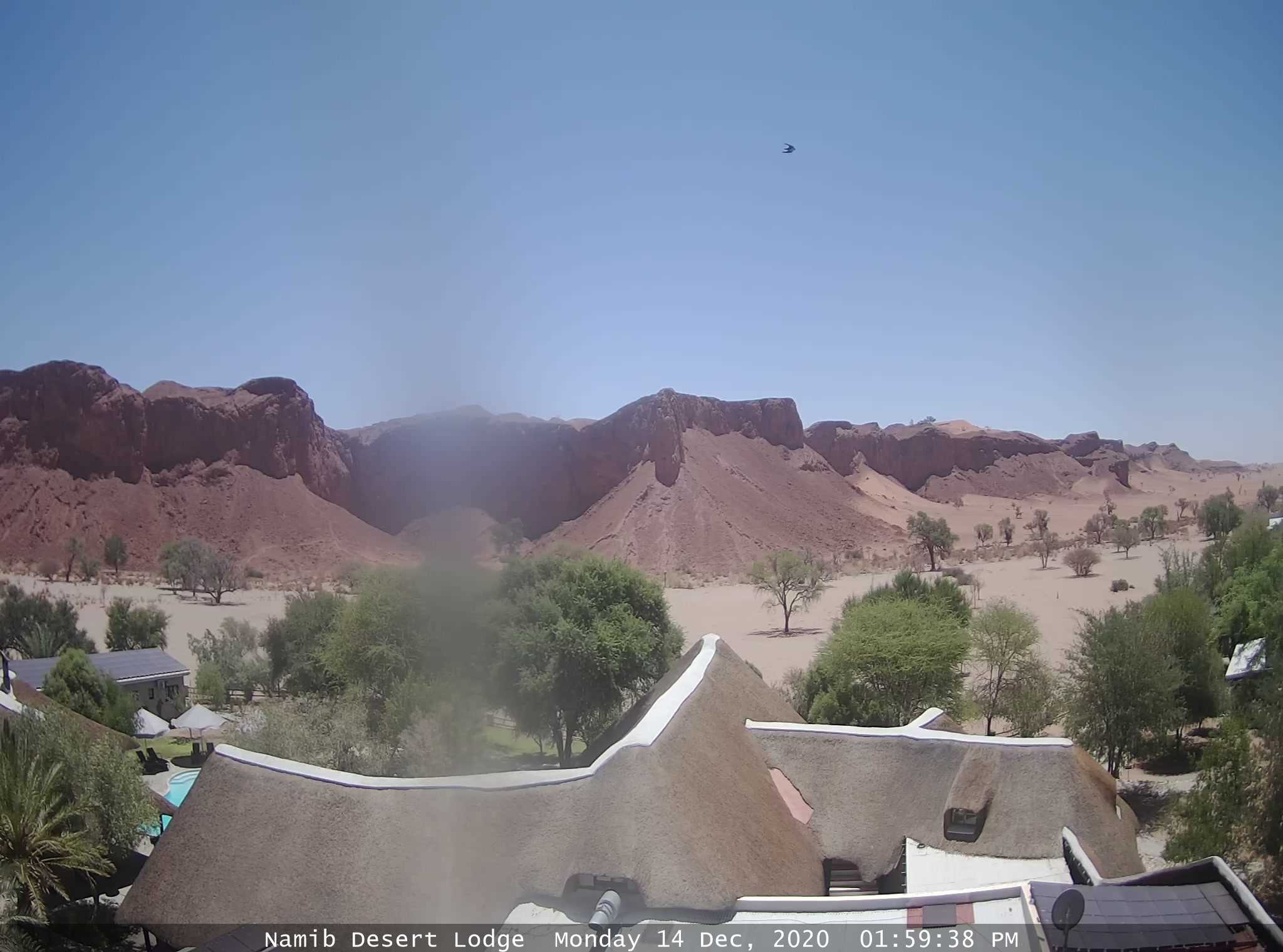 Namib Desert Webcam