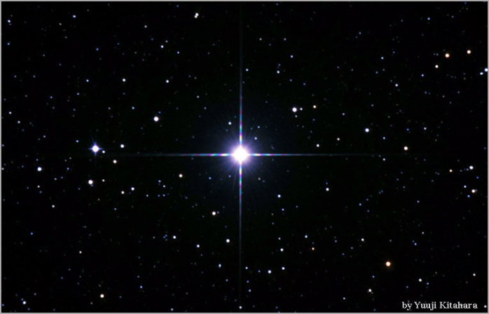 Procyon star