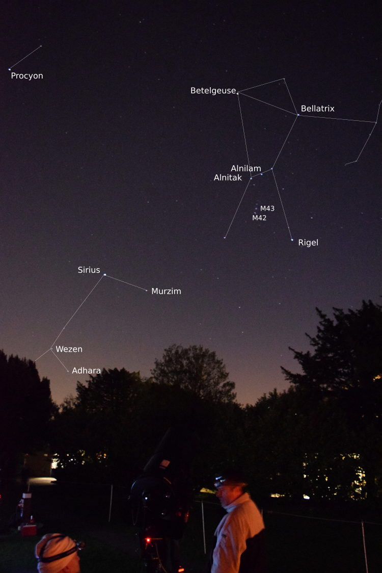 Rigel, Orion Canis Major and Canis Minor in the sky above Cambridge