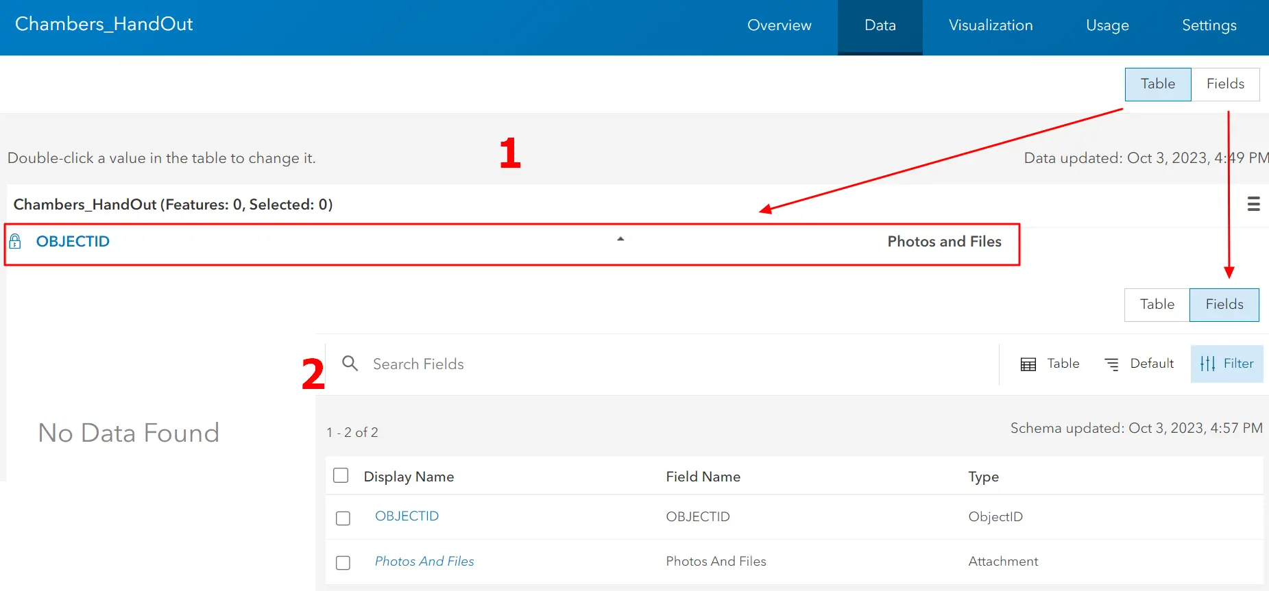 ArcGIS Online layer data