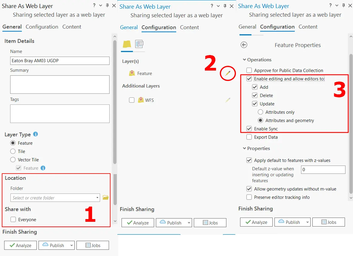 ArcGIS Pro share as the web layer