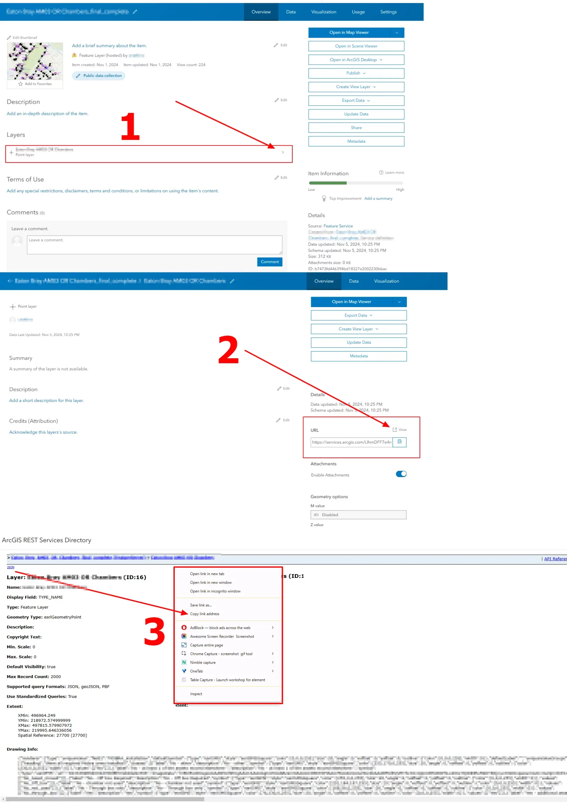 ArcGIS Online getting the layer link with token