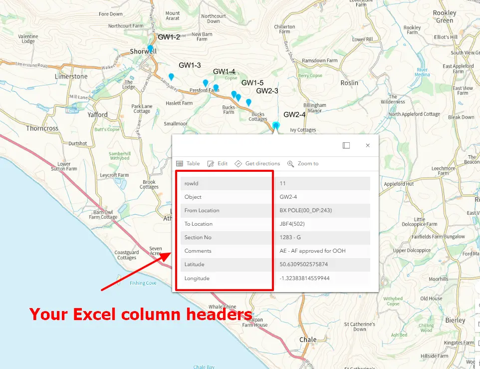 ArcGIS Online, layer from Excel Popup information